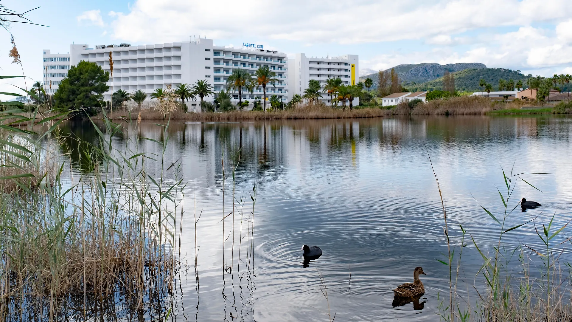 Aparthotel Eix Lagotel Holiday Resort Playa de Muro